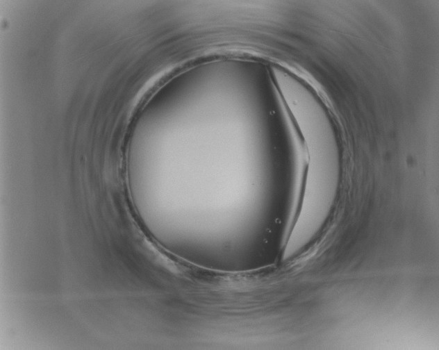 X0000075820799200610061755