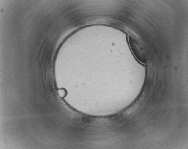 X0000075820800200610061755