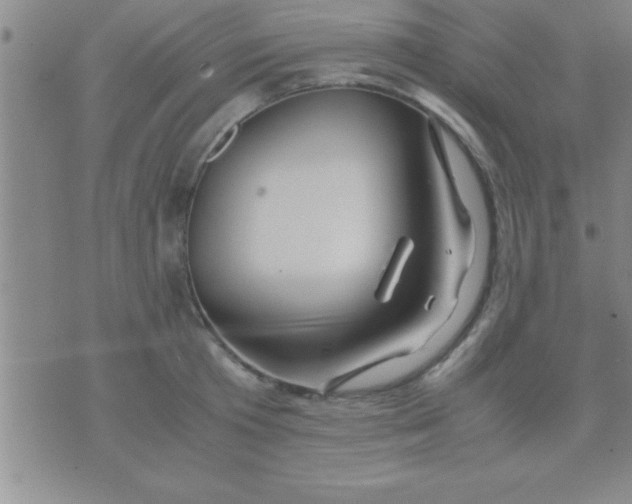 X0000075820801200610061755