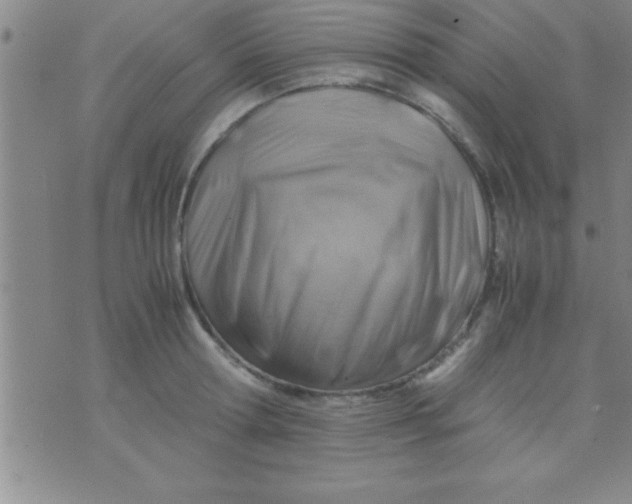 X0000075820802200610061755