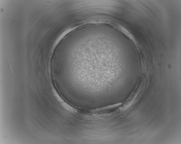 X0000075820803200610061755