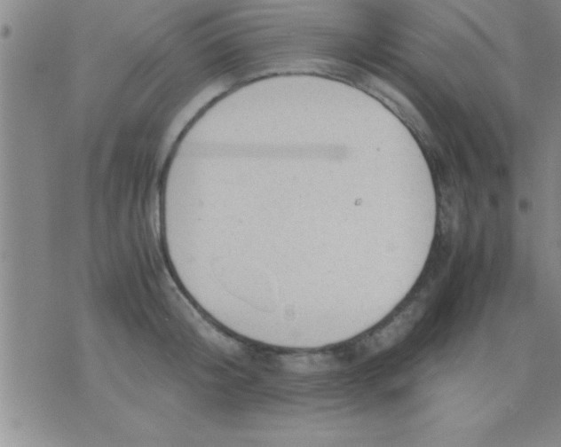 X0000075820804200610061755