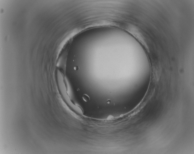 X0000075820805200610061755