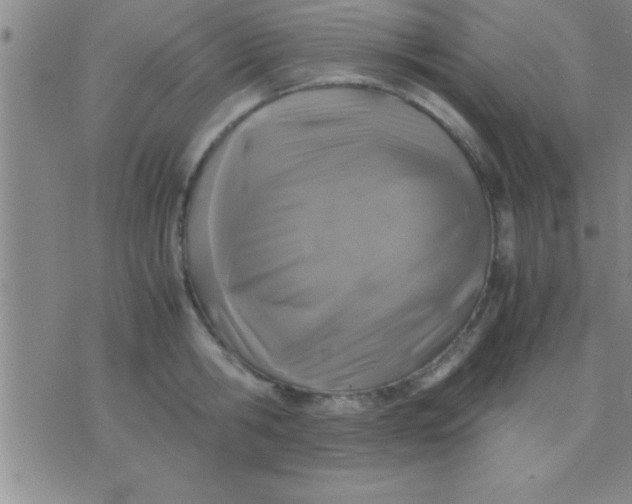 X0000075820806200610061755