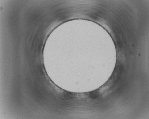 X0000075820807200610061755