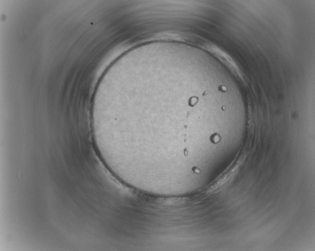 X0000075820808200610061755