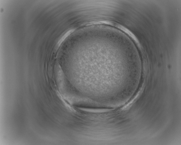 X0000075820809200610061755