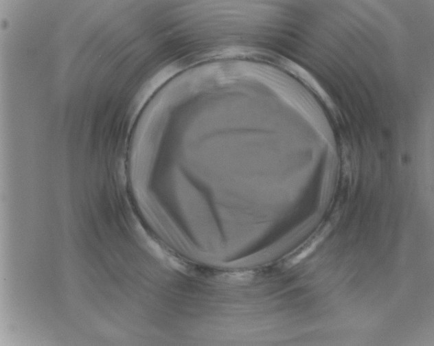 X0000075820810200610061755