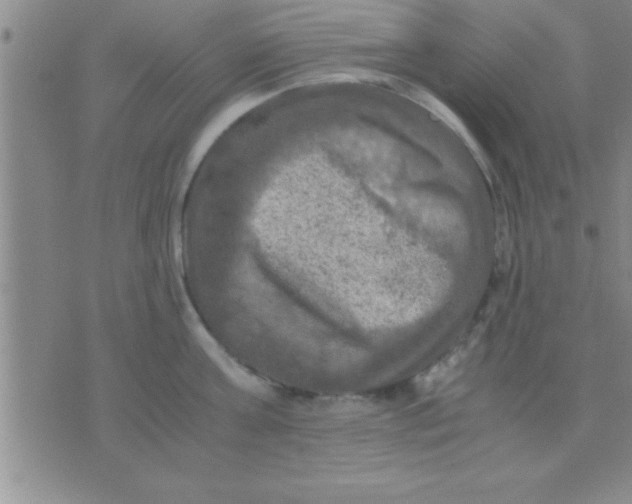 X0000075820811200610061755