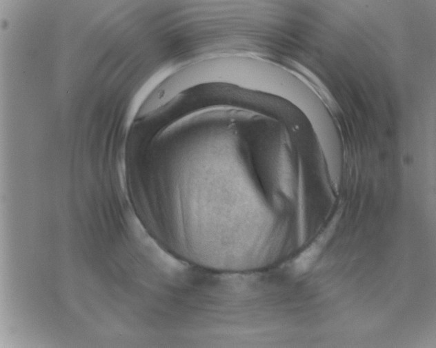 X0000075820812200610061755