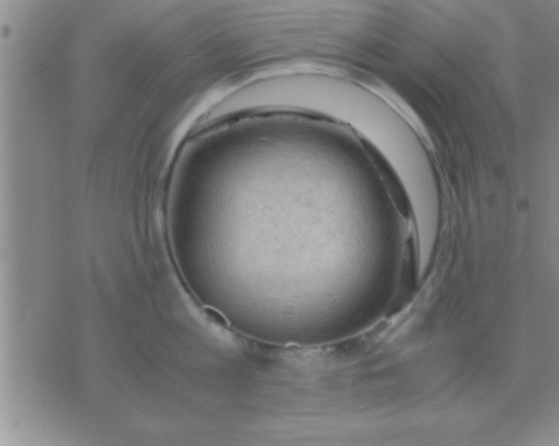 X0000075820813200610061755