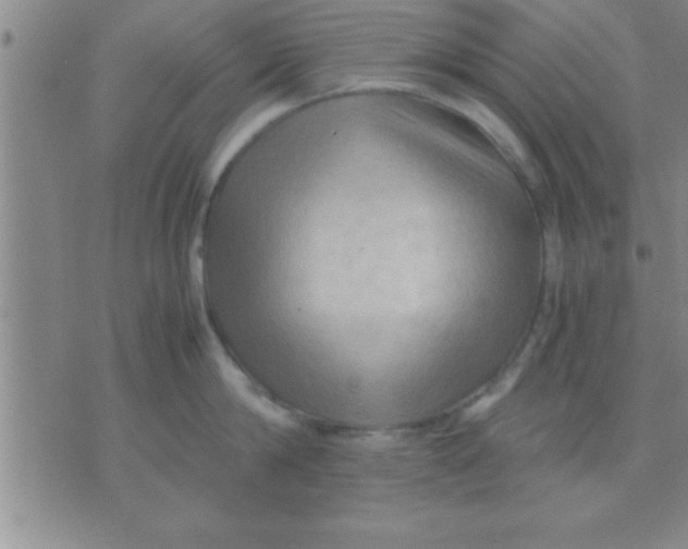 X0000075820814200610061755