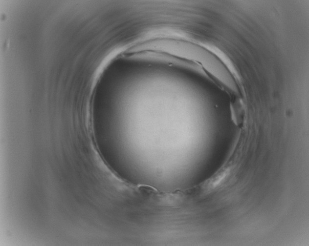 X0000075820815200610061755