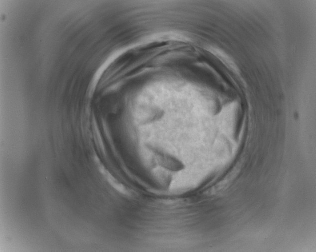 X0000075820816200610061755