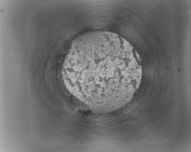 X0000075820817200610061754