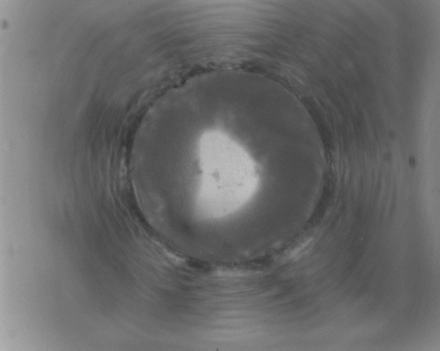 X0000075820818200610061754