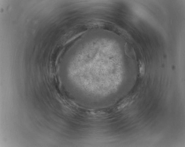 X0000075820819200610061754