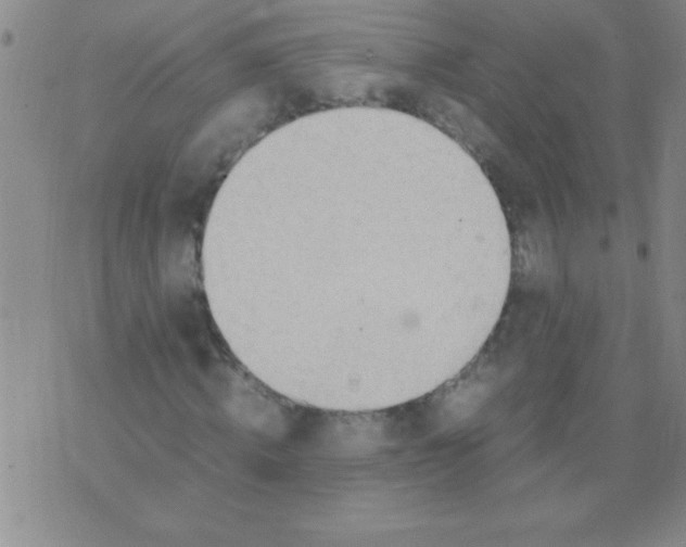 X0000075820820200610061754