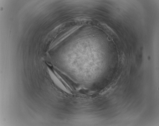 X0000075820821200610061754