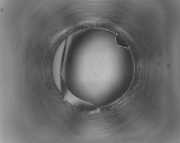 X0000075820822200610061754