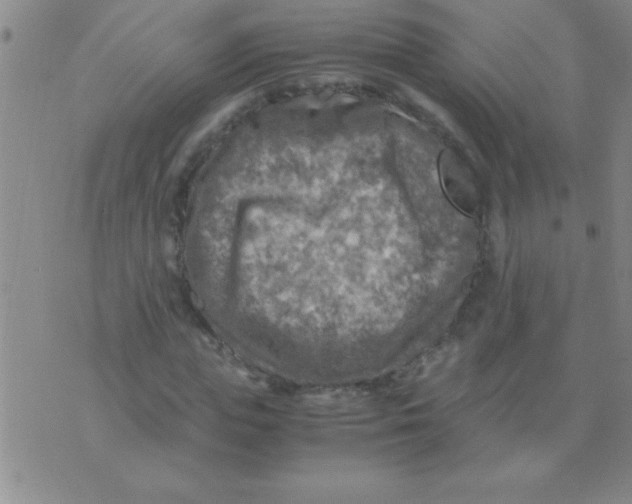 X0000075820823200610061754