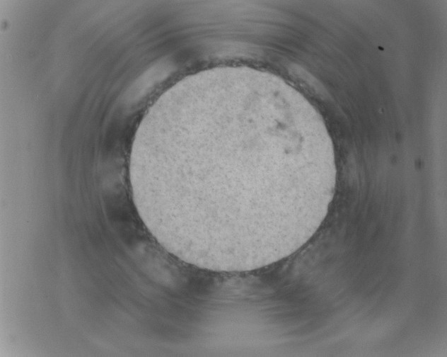 X0000075820824200610061754