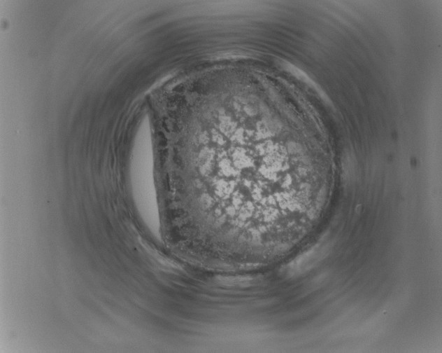 X0000075820825200610061754