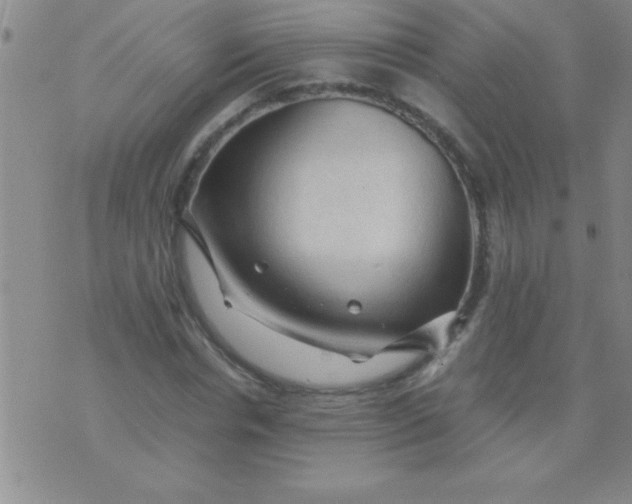 X0000075820826200610061754