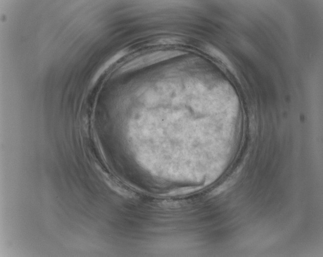 X0000075820827200610061754