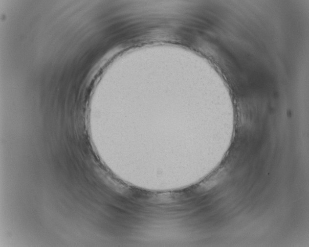 X0000075820828200610061754