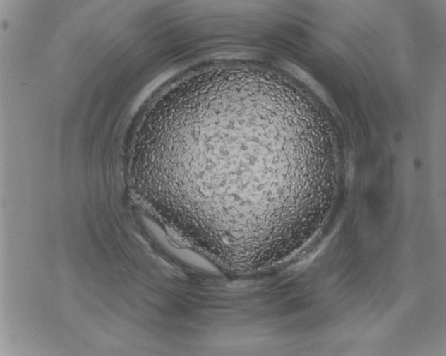 X0000075820829200610061754