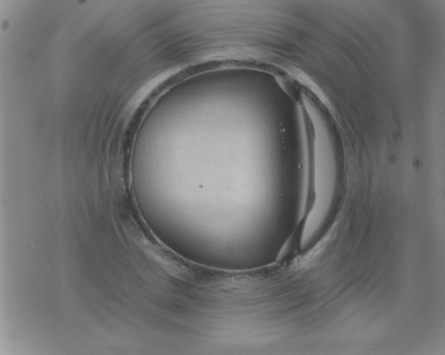 X0000075820830200610061754