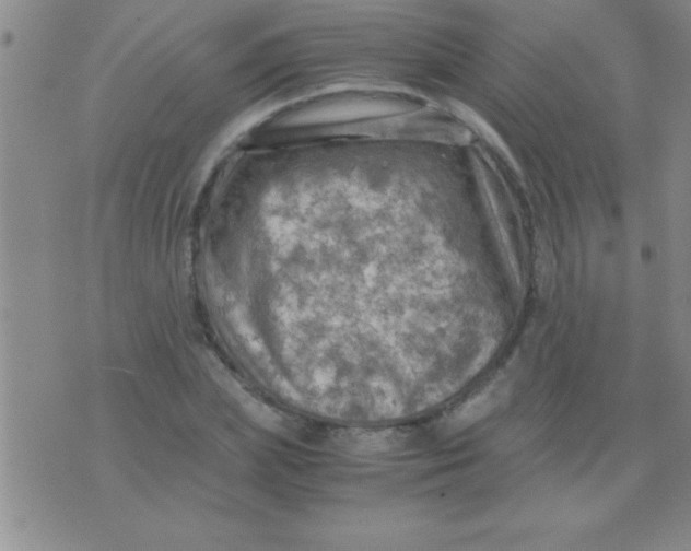 X0000075820831200610061754