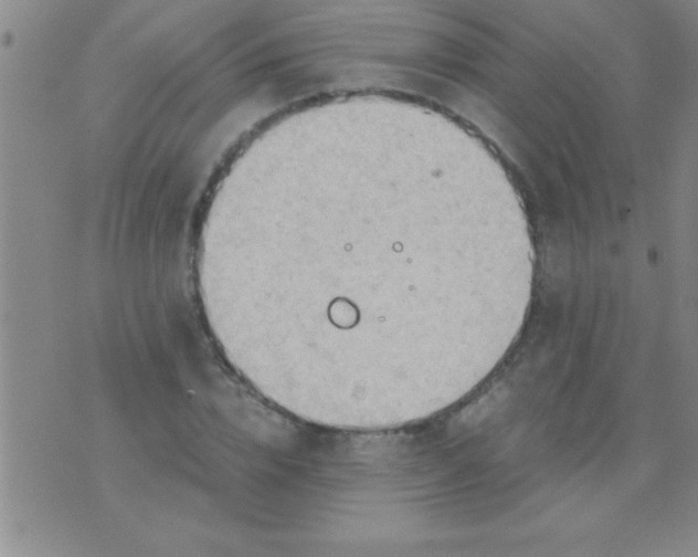 X0000075820832200610061755