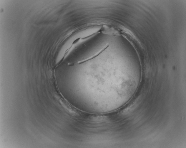 X0000075820833200610061755