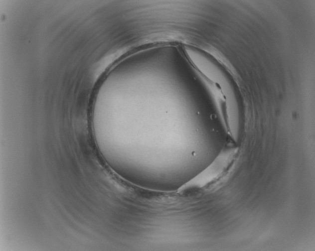 X0000075820834200610061755