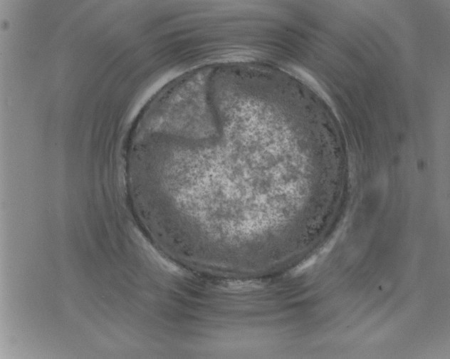 X0000075820835200610061755