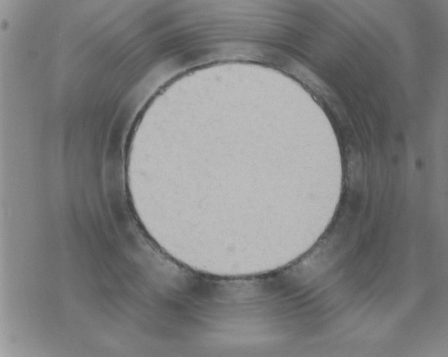 X0000075820836200610061755