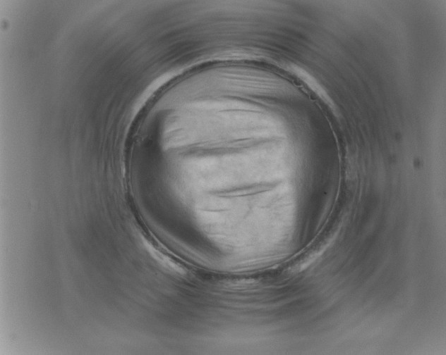 X0000075820837200610061755