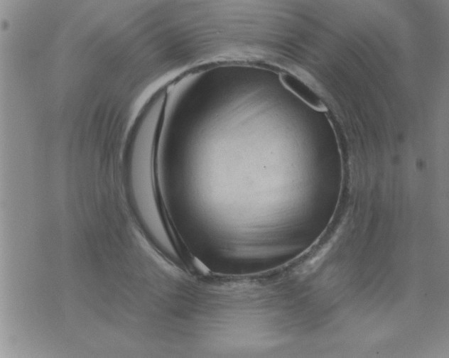 X0000075820838200610061755