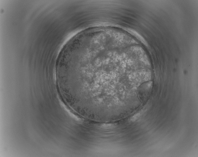 X0000075820839200610061755