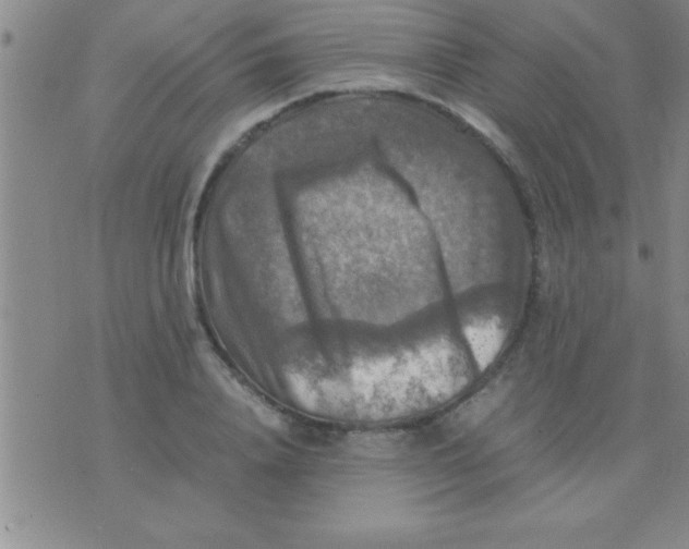 X0000075820840200610061755