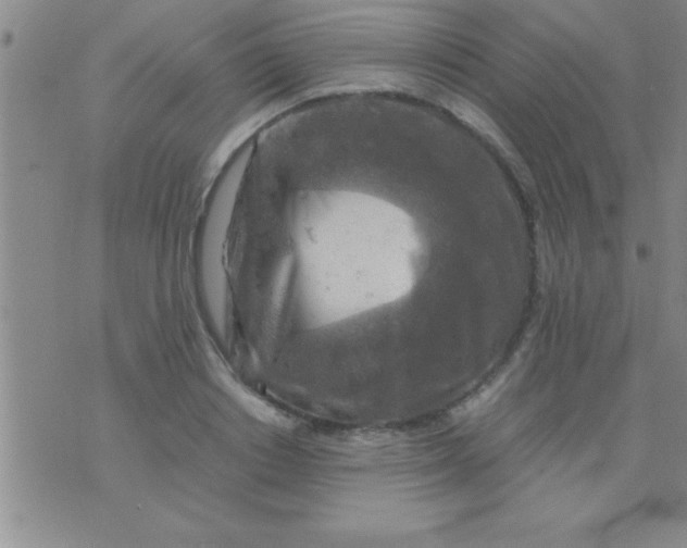 X0000075820842200610061755