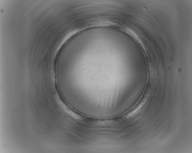 X0000075820843200610061755