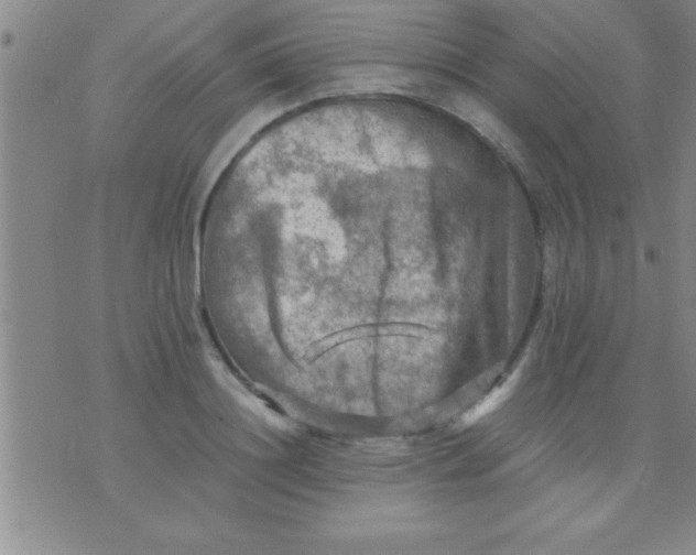 X0000075820844200610061755