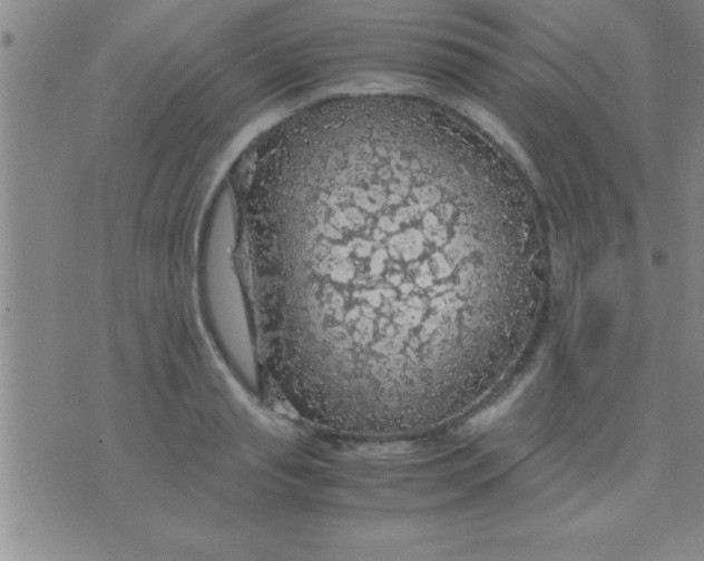 X0000075820845200610061755