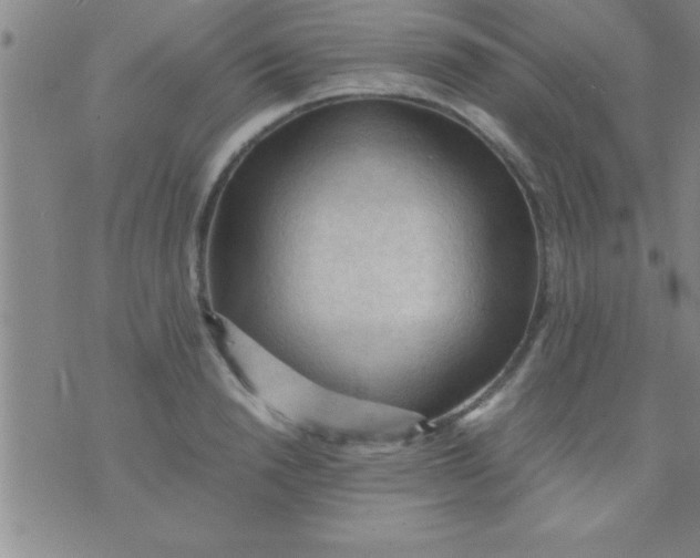 X0000075820846200610061755