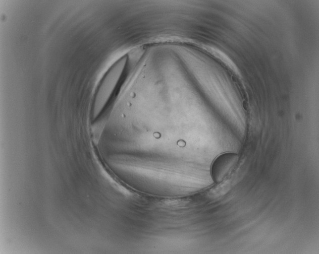 X0000075820847200610061755