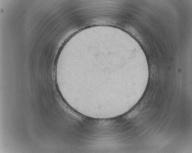 X0000075820848200610061755