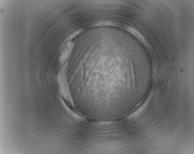 X0000075820849200610061755